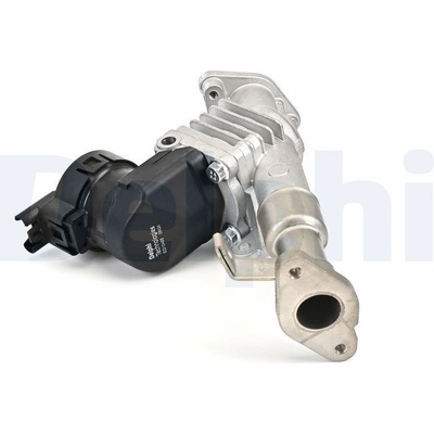 AGR - Ventil DELPHI EG10488-12B1