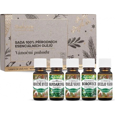 Saloos Vánoční pohoda sada vonné oleje 5 x 10 ml