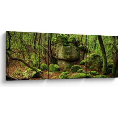 Obraz čarovného lesa, trojdielne 150x50 cm