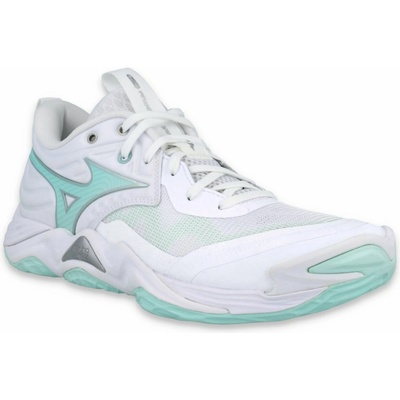 Mizuno Wave Momentum Elite V1GC251245 – Hledejceny.cz