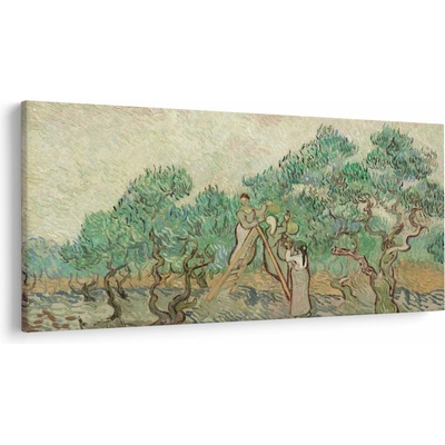 Obraz - Vincent van Gogh, The Olive Orchard, reprodukcia, jednodielne 250x125 cm