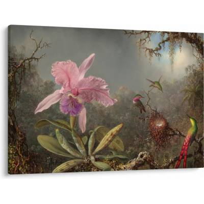 Obraz - Martin Johnson Heade, Cattleya Orchid and Three Hummingbirds, reprodukcia, jednodielne 100x70 cm