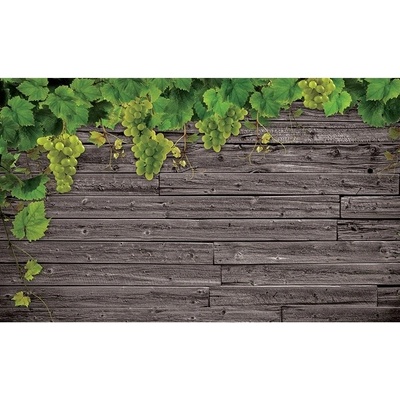 Preinterier FT3120 Fototapeta na stenu Vinič na drevenej stene vlies 104cm x 70cm