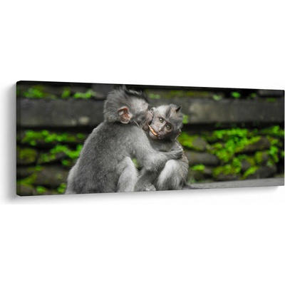 Obraz - opičky, jednodílný 100x40 cm
