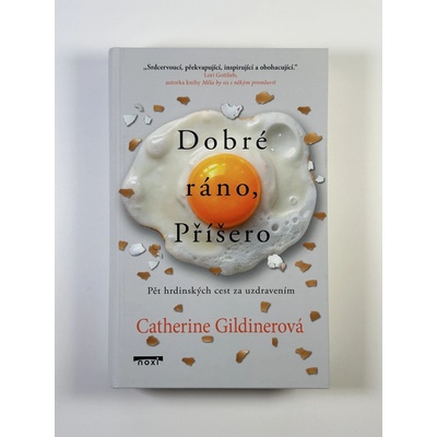 Dobré ráno, Příšero - Pět hrdinských cest za uzdravením - Catherine Gildinerová