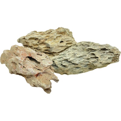 Invital Dragon Stone 6505 g Z01717