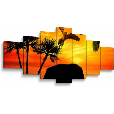 Obraz - papagáje a slony, sedemdielne 210x100 cm