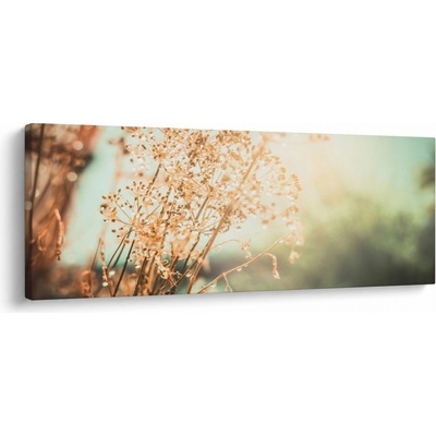 Obraz - Rostliny po dešti, jednodílný 100x40 cm