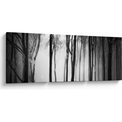Obraz - Vlk v temném lese, třídílný 90x30 cm