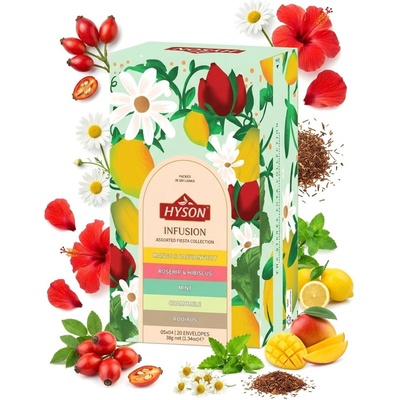 HYSON Fruit Tea Assorted 36 g 20 ks