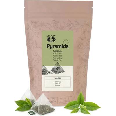 BONThé En Shi Yu Lu Pyramids 45 g