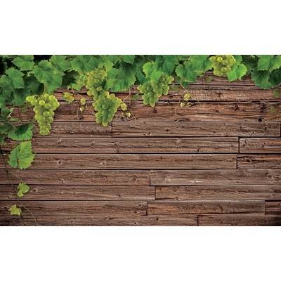 Preinterier FT3119 Fototapeta na stenu Vinič na drevenej stene vlies 104cm x 70cm