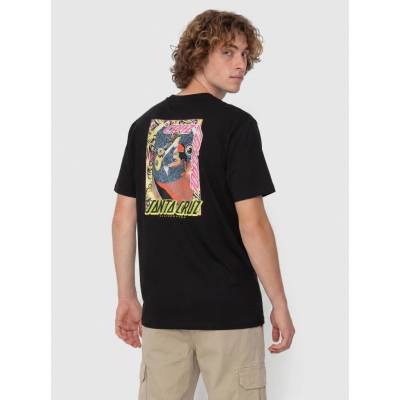 Santa Cruz Roskopp Cruz Control Black