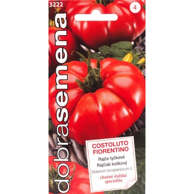 RAJČIAK kolíkový Costoluto Fiorentino