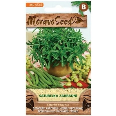 Saturejka záhradná MoravoSeed