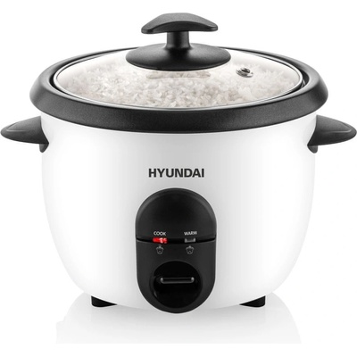 Hyundai RC 100