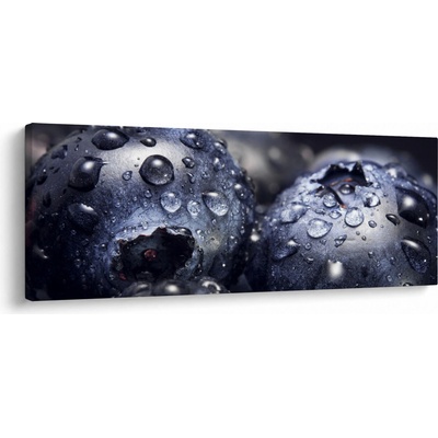 Obraz ovoce s kapkami vody, jednodílný 100x40 cm