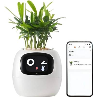kwiatydonice PlantsIO BŘEČŤAN BÍLÝ