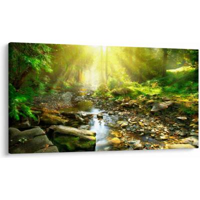 Obraz rieky v zelenom lese, jednodielne 120x70 cm