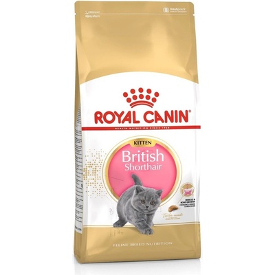 Royal Canin British Shorthair Kitten 2 x 10 kg – Hledejceny.cz