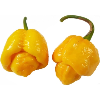 Piquant Semená pikantnej papriky chilli TRINIDAD MORUGA SCORPION YELLOW