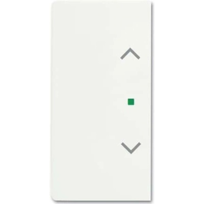 Busch-Jaeger 2-násobný kryt free@home dopravná biela, biela 2CKA006220A0488