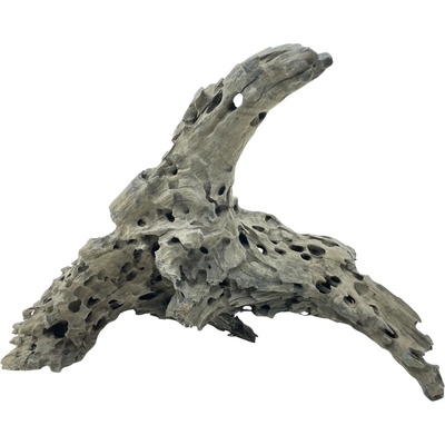 Invital Honey Comb Wood XL 50-60 cm 6125 g Z10474