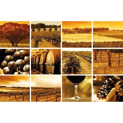 Preinterier FT0773 Fototapeta na stenu Mozaika víno vlies 208cm x 146cm
