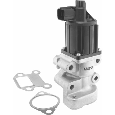 AGR - Ventil BORGWARNER 710964D