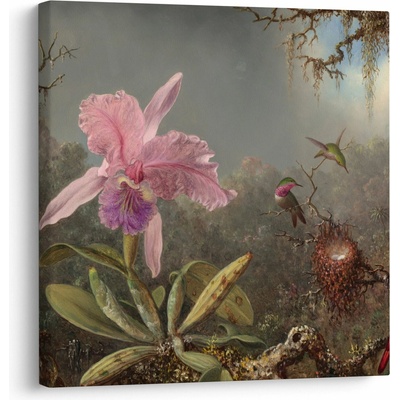 Obraz - Martin Johnson Heade, Cattleya Orchid and Three Hummingbirds, reprodukcia, jednodielne 30x30 cm