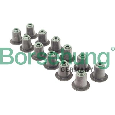 BORSEHUNG Tesniaci krúžok drieku ventilu B12507