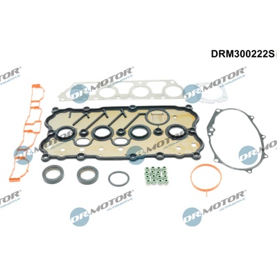 DR.MOTOR AUTOMOTIVE Sada tesnení, Hlava valcov DRM300222S