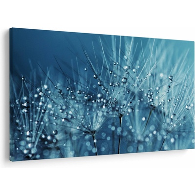 Obraz - Kapky rosy, jednodílný 120x80 cm