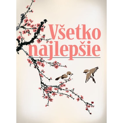Všetko najlepšie - Fortuna Libri – Hledejceny.cz
