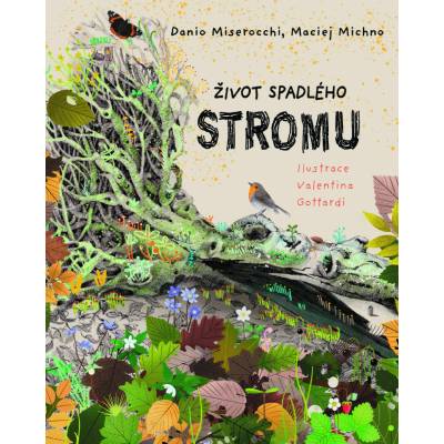 Život spadlého stromu
