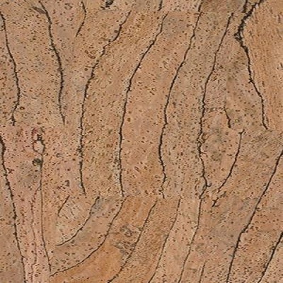 Korek Jelínek Corkline Zebra HRN KP0381 1,62 m²