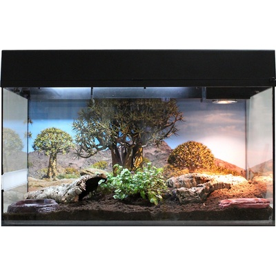 Lucky Reptile Starter Kit Tortoise Gecko 80 x 40 x 52 cm bílé