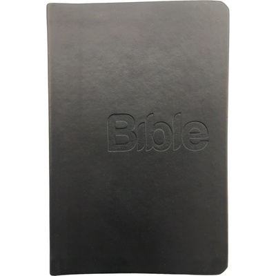 Bible, překlad 21. století Black – Hledejceny.cz