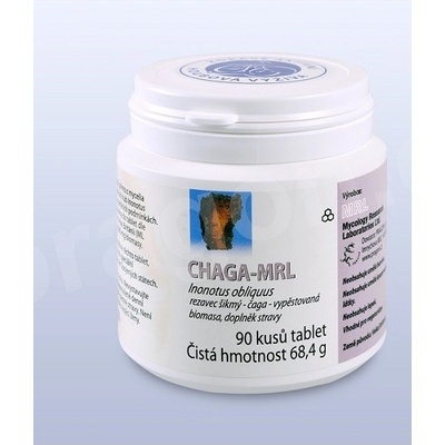 CHaga ryšavec šikmý 500 mg Biomasy 90 tabliet