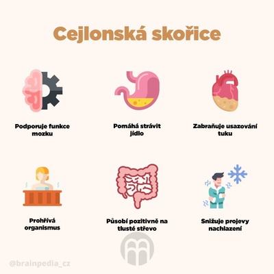 BrainMax Pure Skořice Cejlonská Bio mletá 100 g – Hledejceny.cz