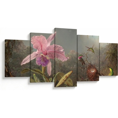 Obraz - Martin Johnson Heade, Cattleya Orchid and Three Hummingbirds, reprodukcia, päťdielne 150x80 cm