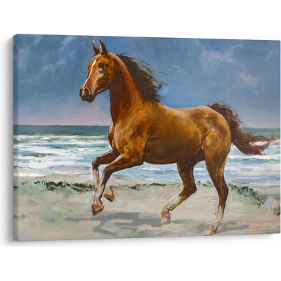 Obraz koně na pláži, jednodílný 70x50 cm
