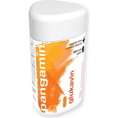 Pangamin Glukavin 200 tablet – Hledejceny.cz