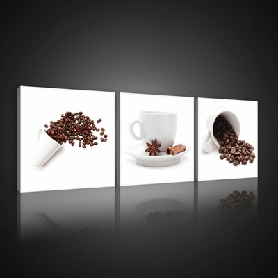 Consalnet Obraz na plátně: Koření (2) - set 3ks 25x25cm
