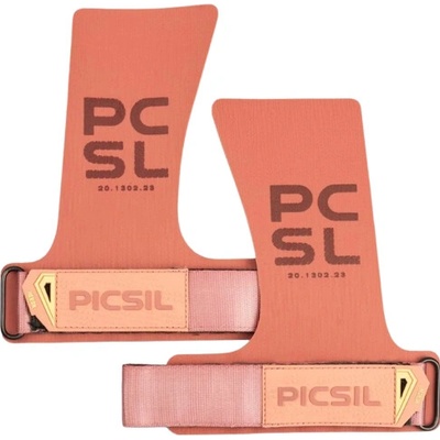 PICSIL Heron