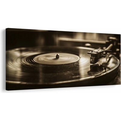 Obraz vintage gramofonová deska - 80x40