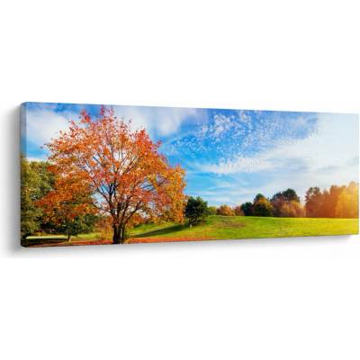 Obraz - Podzimní krajina, jednodílný 100x40 cm