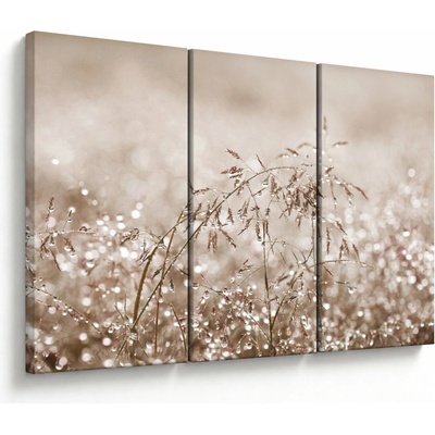 Obraz - Louka v hnědých tónech, třídílný 120x80 cm