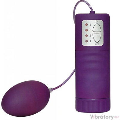 You2Toys Velvet Bullet