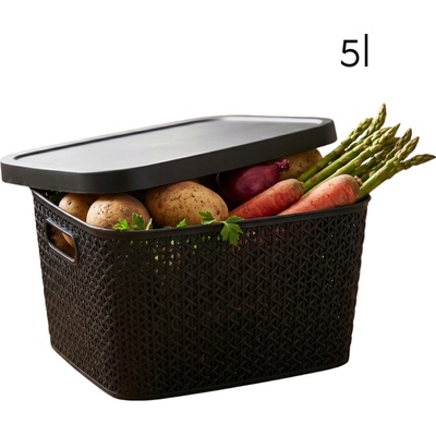 Altom Multifunkčný kôš s vekom, úložný box s vekom 5,5 l čierny